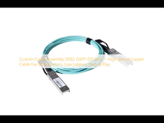 사용자 정의 케이블 조립 200G QSFP-DD DAC 데이터 센터, 낮은 지연, 플러그 앤 플레이를 위한 고속 구리 케이블